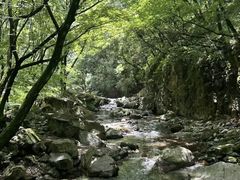 -秦岭风景区