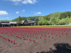 -富田农场