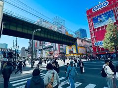 -秋叶原电器街