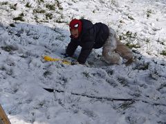 -秦岭终南山世界地质公园翠华山景区