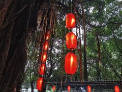 -侨美·唐荔园·40年地道粤菜