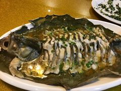 -呼吸森林·生态农庄农家乐私房菜