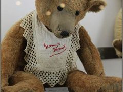 -济州岛泰迪熊博物馆