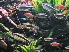 -太平洋海底世界