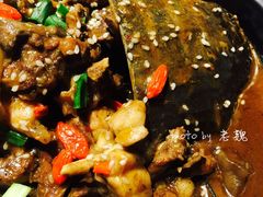 -鳖皇甲鱼餐厅(平阳路店)