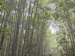 -敬亭山风景名胜区