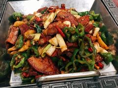 -邵年鸽(杨庄店)
