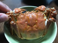 -七的湖·晚芳亭·阳澄湖农家菜·大闸蟹(莲花岛店)