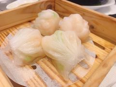 -金翠皇宫粤菜·点心·海鲜(科技园店)