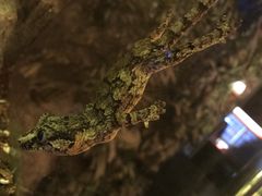-暹罗海洋世界