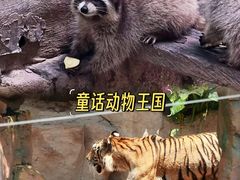 -长鹿旅游休博园
