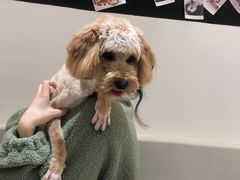 -comecome来吧宠物(奥克斯中心店)