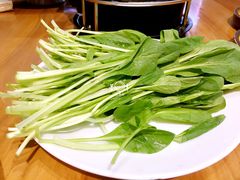 -顺承小院儿