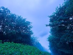 -梧桐山风景名胜区