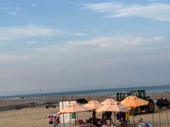 -日照海滨国家森林公园