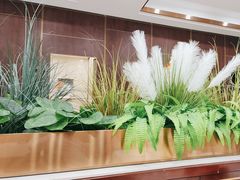 -红菜坊·烤鸭·川鲁宴(石园店)