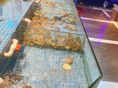 -小天鹅戴斯酒店鲸鲨百汇创作料理