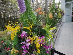 -深圳国际园林花卉博览园