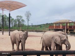 -鄂尔多斯野生动物园