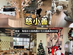 -咖法森林·咖啡  酒吧(天河店)