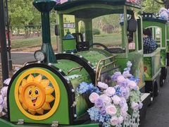 -昆山城市生态森林公园