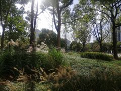 -中国工商银行(漕河泾开发区支行)