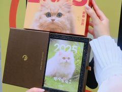-福田卓悦INTOWN购物中心