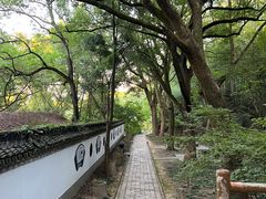 -上海佘山国家森林公园天马山园