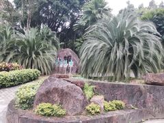 -深圳仙湖植物园