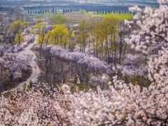 -白河堡水库