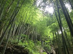 -藏龙百瀑风景区