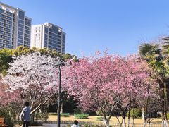-大关公园