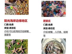 -巧克力渔家.小船海鲜胶东菜(万平口店)