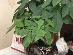 -至尊名仕·中泰按摩·养生SPA会所