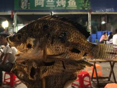-杨合林啊兰烤鱼