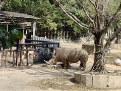 -深圳野生动物园