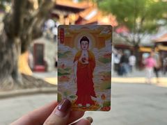 -深圳仙湖植物园