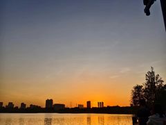 -海珠湖公园