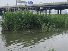 -门城湖公园