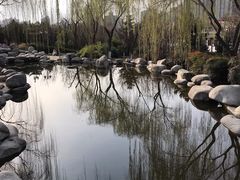 -西安青龙寺遗址景区
