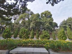 -菊花台公园