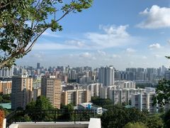 -花柏山公园