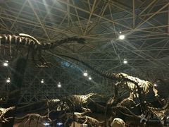 -世界恐龙谷景区