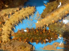 -隐厨·海鲜餐厅(恒通路店)