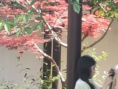 -巡塘古镇