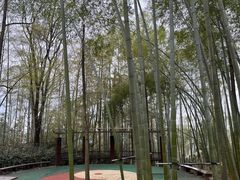 -潜山国家森林公园