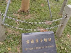 -深圳国际园林花卉博览园