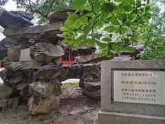 -北京动物园-畅观楼