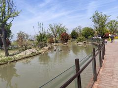 -祥源·阜阳生态乐园