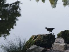 -杭州植物园